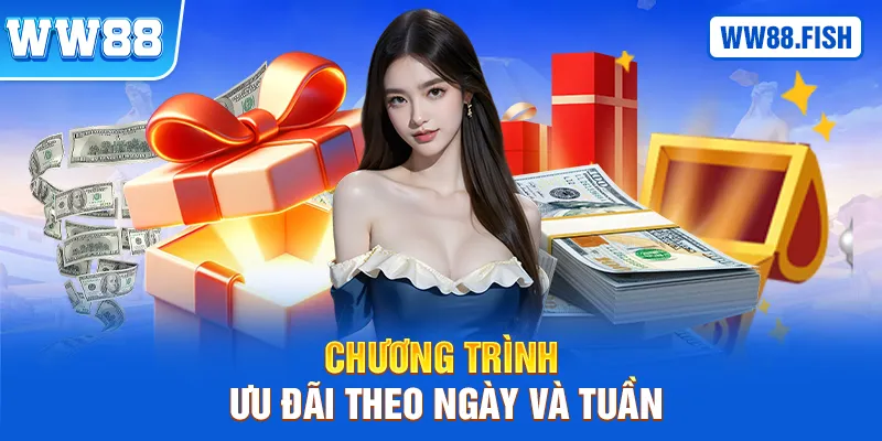 Các chương trình ưu đãi hoàn trả theo ngày và tuần