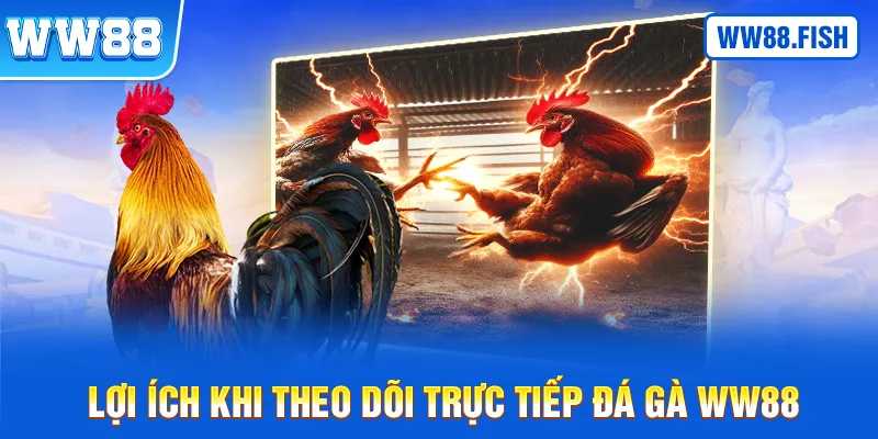 Những lợi ích khi theo dõi trực tiếp đá gà WW88