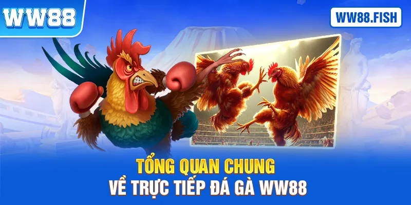 Tổng quan hình thức trực tiếp đá gà WW88